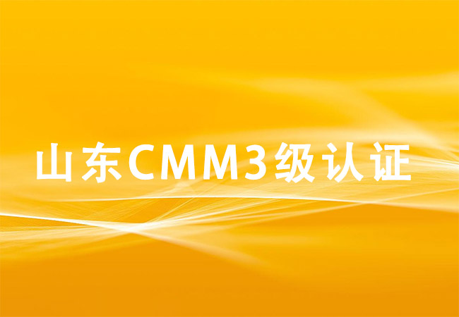 ​山东CMMI3级认证-山东大沣软件开发有限公司