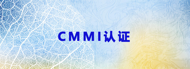 福建CMMI3级认证-福建万芯科技有限公司.jpg