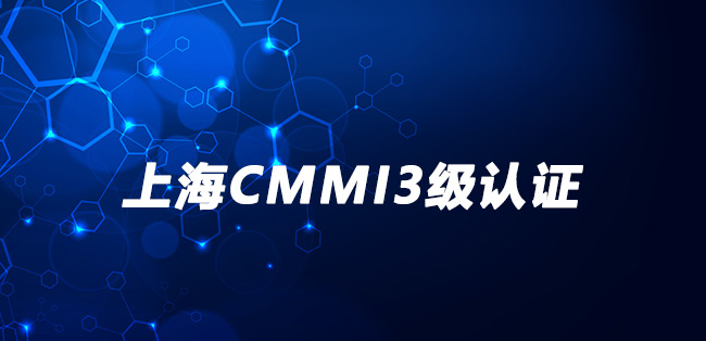 上海CMMI3级认证-上海蓝凡网络科技股份有限公司.jpg